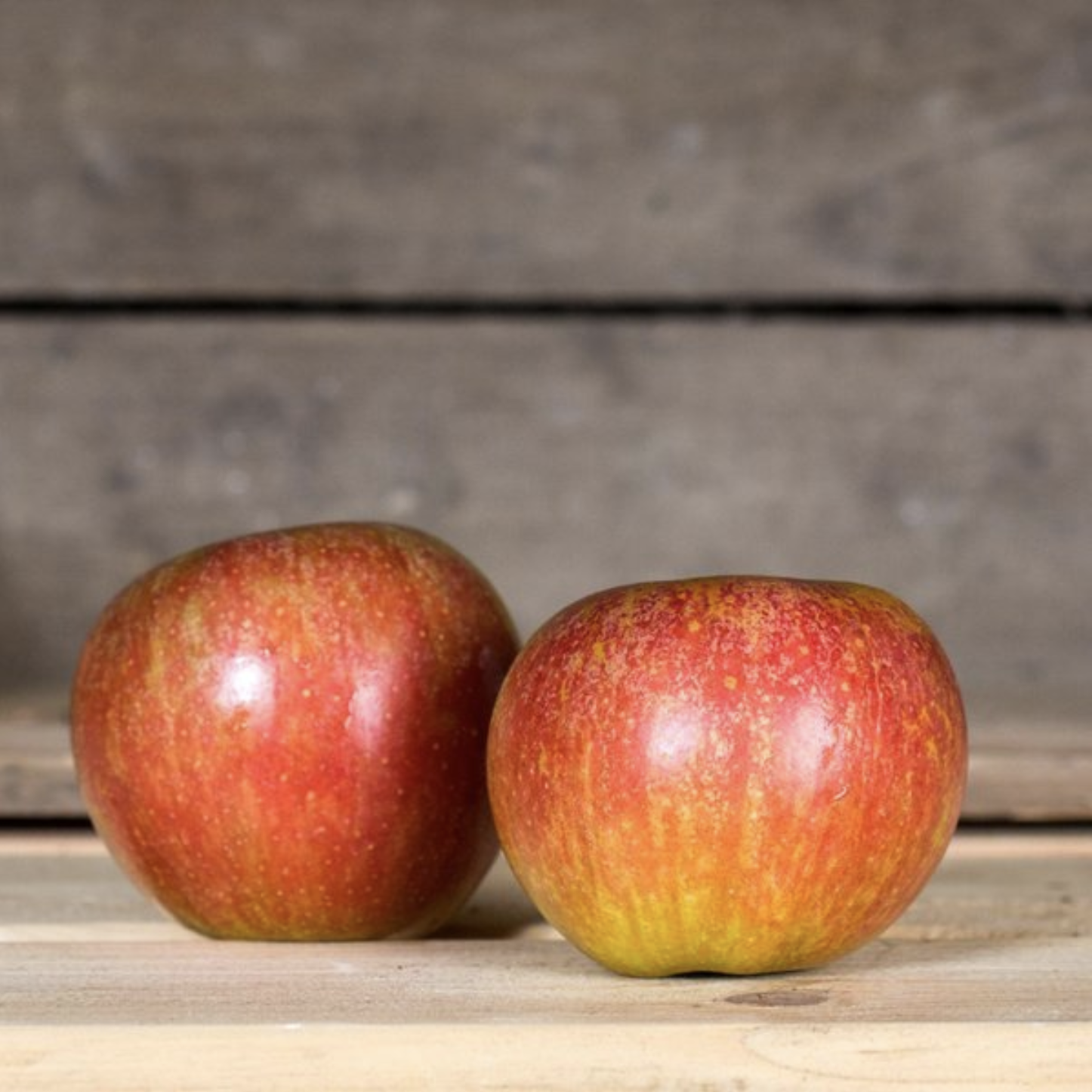 Apfel Cox-Orange bio vom Bioobsthof Rönn