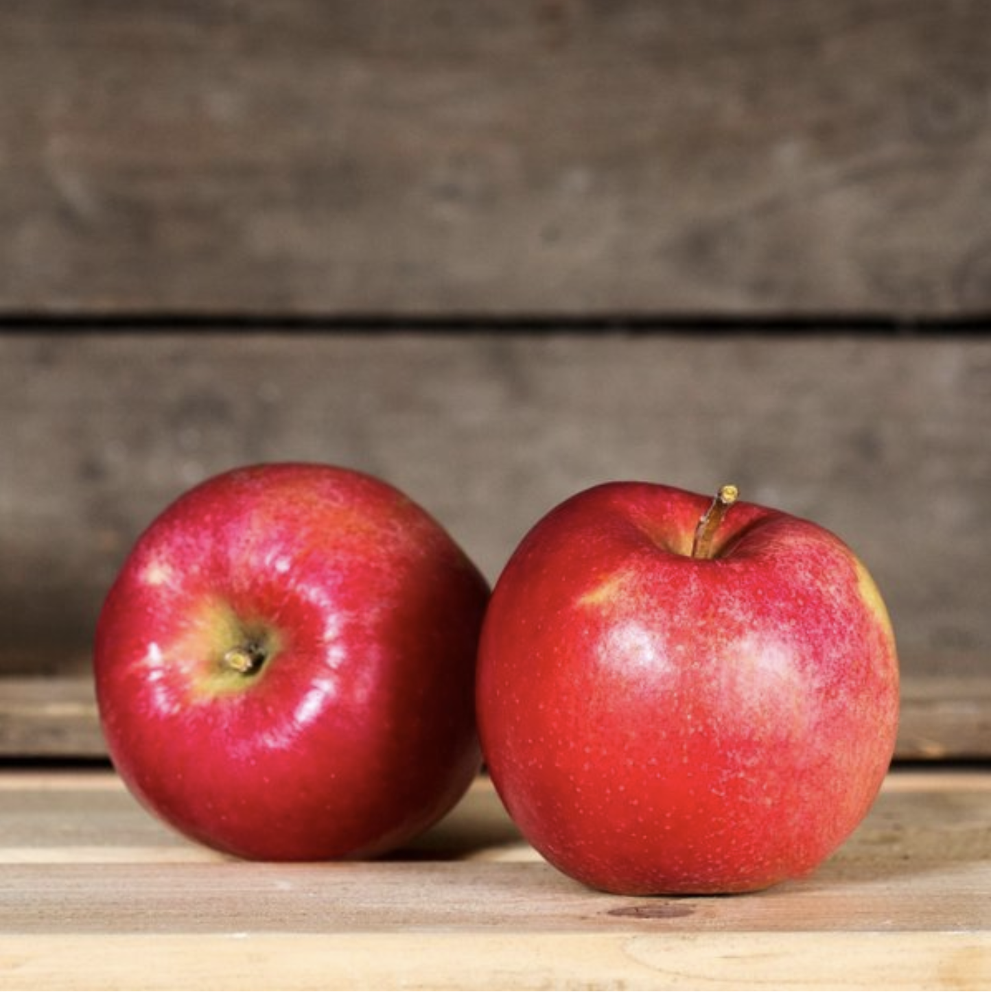 Apfel Kizuri bio vom Bioobsthof Rönn