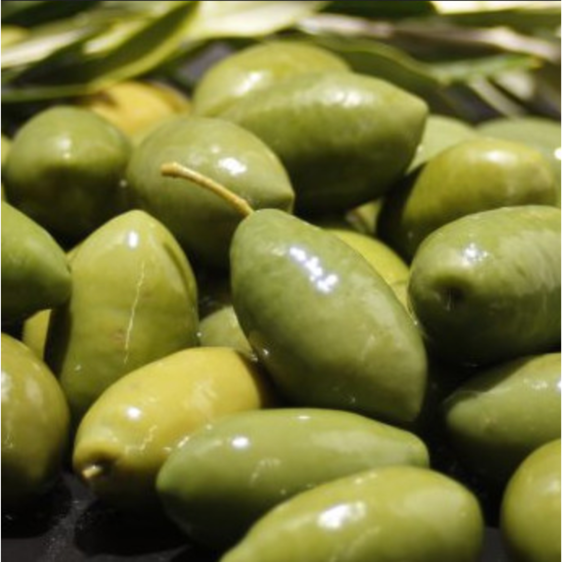 Herzhafte Feinkostprodukte :: Fermentierte Produkte :: grne Kalamata-Oliven