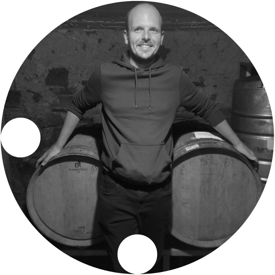 Weinbau Paul Hartung Weinbau Paul Hartung