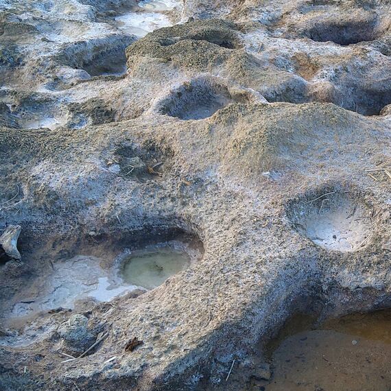 Salzausscheidung an Ionischen Meer, Peloponnes, Griechenland
