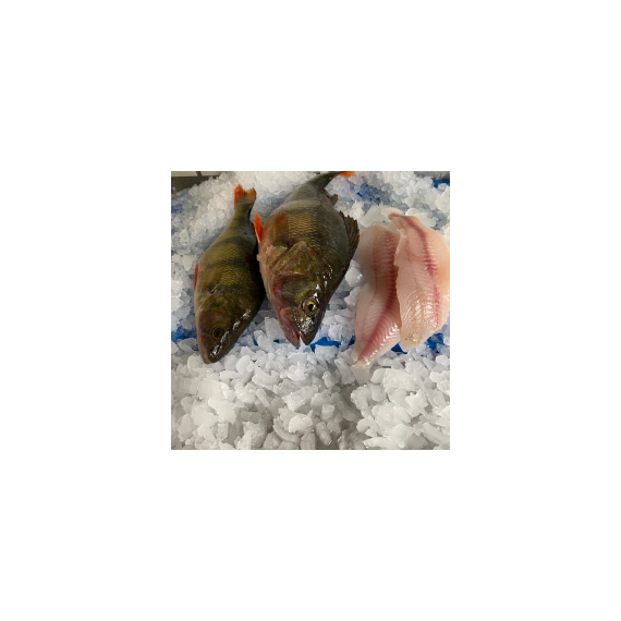 _ab__is.text.p
