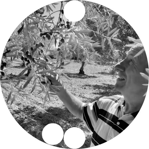 Vasileios Anagnostou & Lidia Castro GbR (manuóleo)